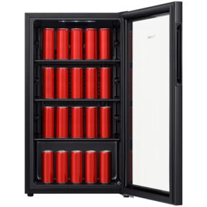 Hisense 91L Cooler-Glass door JC-94